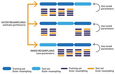 Feature Selection Stability and Accuracy of Prediction Models for Genomic Prediction of Residual Feed Intake in Pigs Using Machine Learning